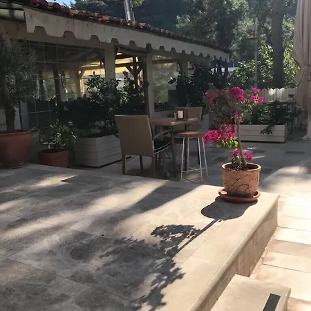 Petunya Boutique