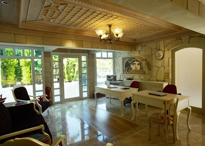Petunya Boutique 이츠멜레르