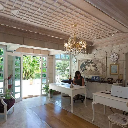 Petunya Boutique