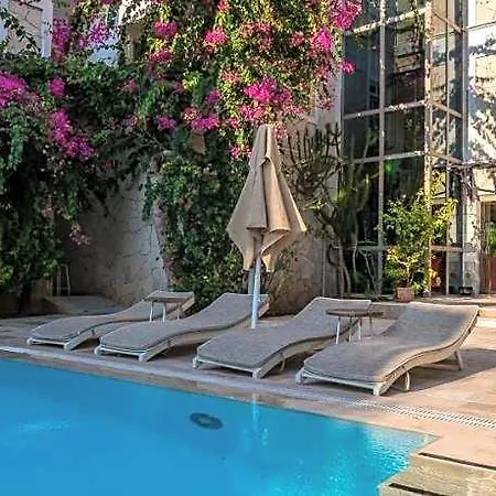 Ξενοδοχείο Petunya Boutique 3*