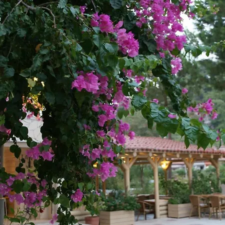 Petunya Boutique Hotel İçmeler