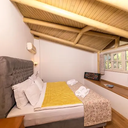 Petunya Boutique 3*