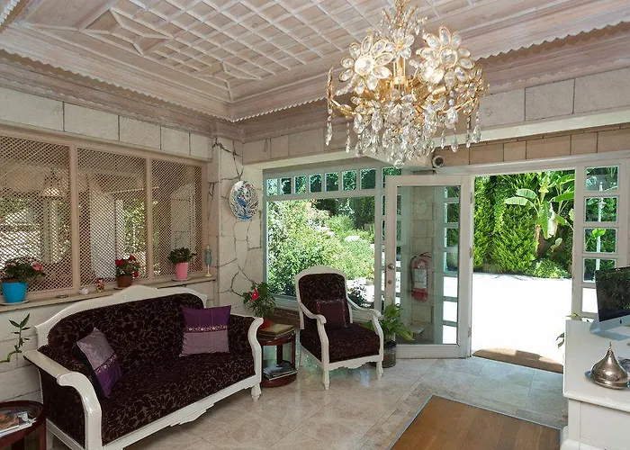 Petunya Boutique İcmeler