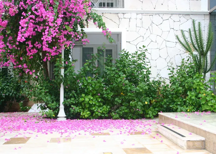 Hotel Petunya Boutique Icmeler