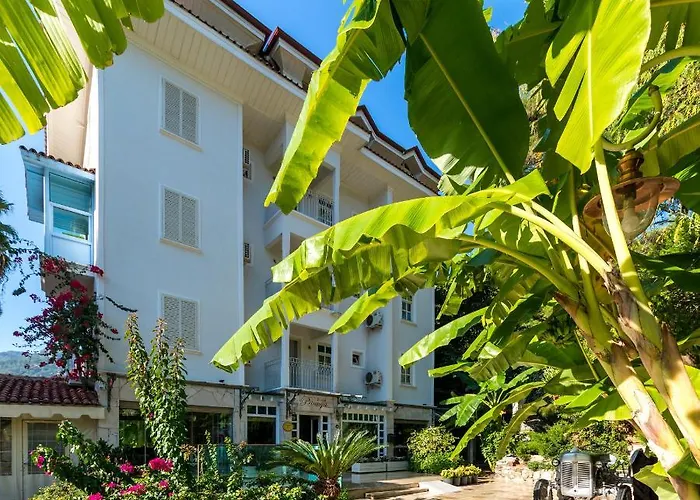 Hotell Petunya Boutique 3*